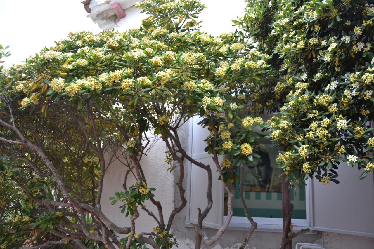 B&B Miramare Platamona Exterior foto